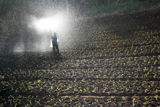 Fertilizers & Soil Health