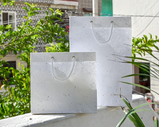 Seeds & Crop Protection